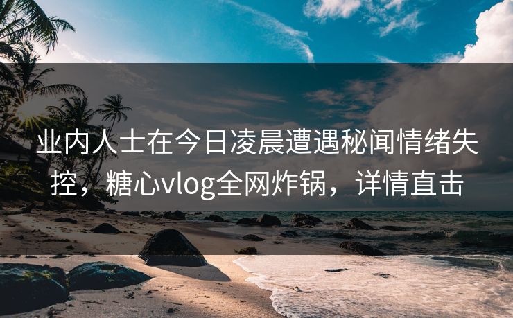 业内人士在今日凌晨遭遇秘闻情绪失控，糖心vlog全网炸锅，详情直击