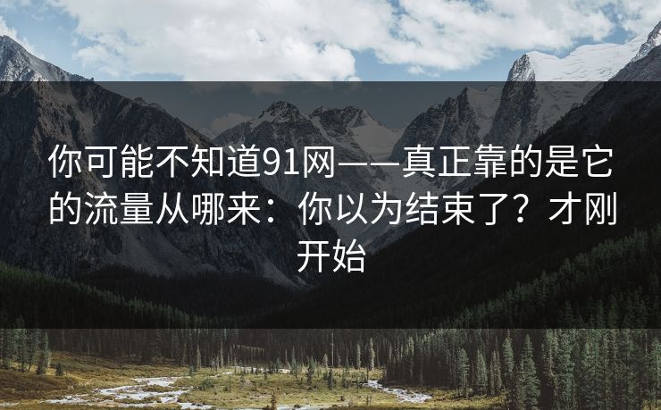 你可能不知道91网——真正靠的是它的流量从哪来：你以为结束了？才刚开始