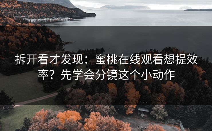拆开看才发现:蜜桃在线观看想提效率?先学会分镜这个小动作